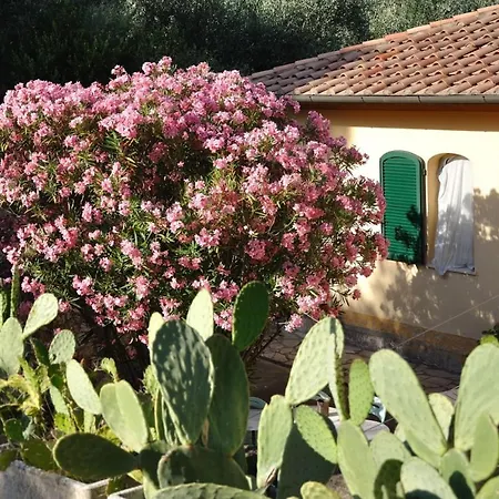 ヴィラ Gualdo Piscina Vista Mare