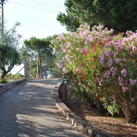 Gualdo Piscina Vista Mare Villa *